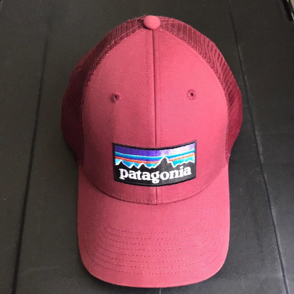 Patagonia trucker hat